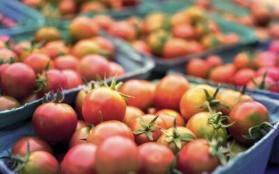 Explore Your Local Ayurvedic Shops for Natural Remedies